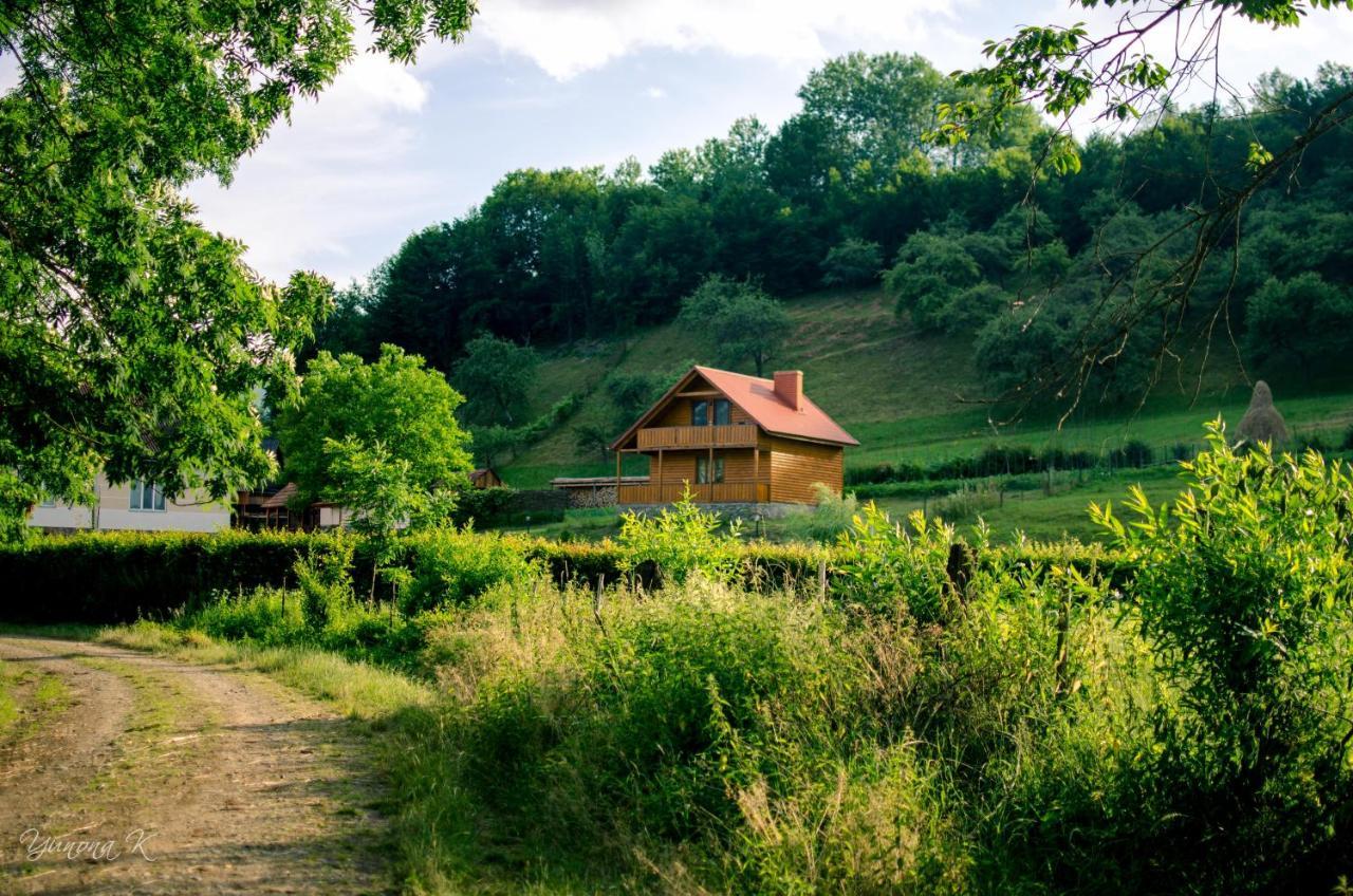 Sadiba Liskovec Villa Dubrynychi Bagian luar foto