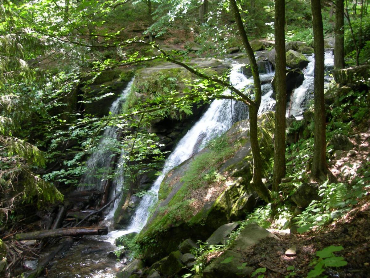 Sadiba Liskovec Villa Dubrynychi Bagian luar foto