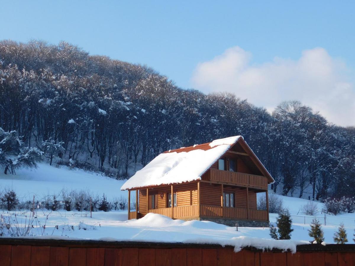 Sadiba Liskovec Villa Dubrynychi Bagian luar foto