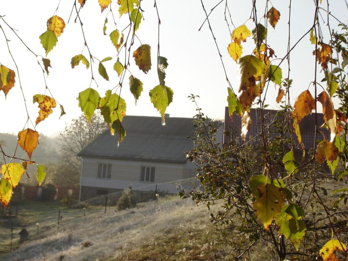 Sadiba Liskovec Villa Dubrynychi Bagian luar foto