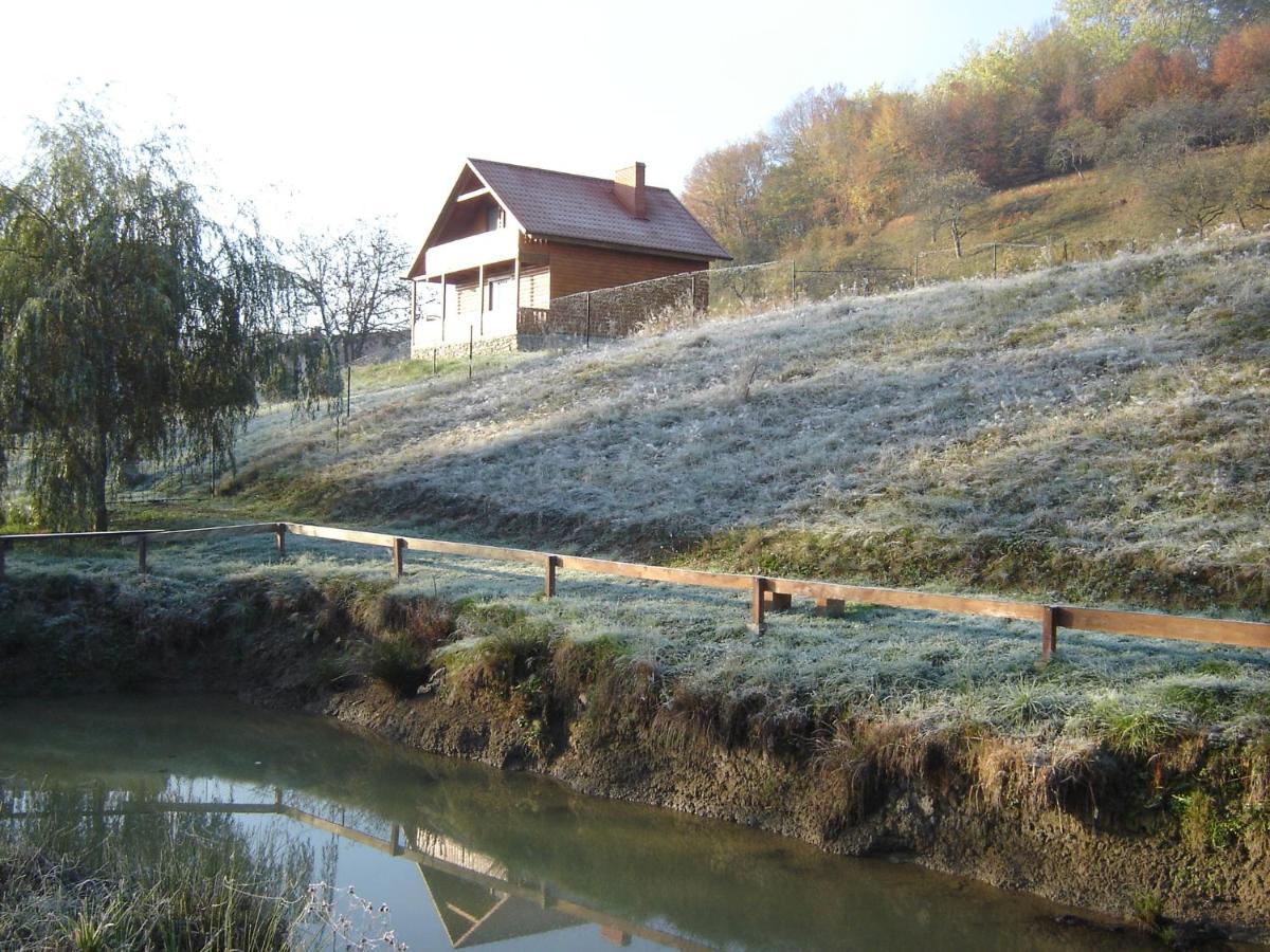 Sadiba Liskovec Villa Dubrynychi Bagian luar foto