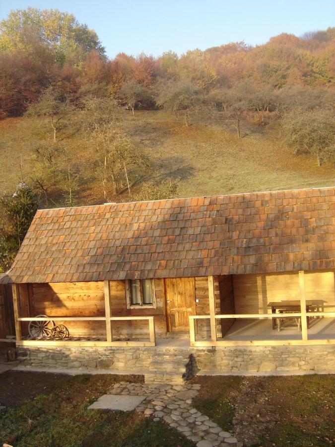 Sadiba Liskovec Villa Dubrynychi Bagian luar foto