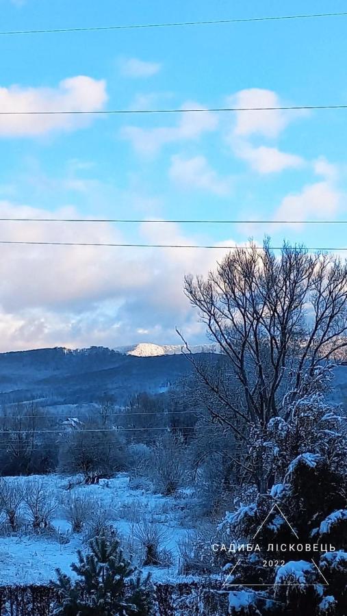 Sadiba Liskovec Villa Dubrynychi Bagian luar foto