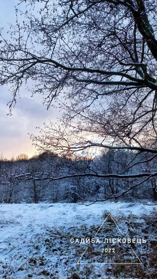 Sadiba Liskovec Villa Dubrynychi Bagian luar foto